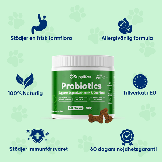 Probiotics – För en sund tarmflora
