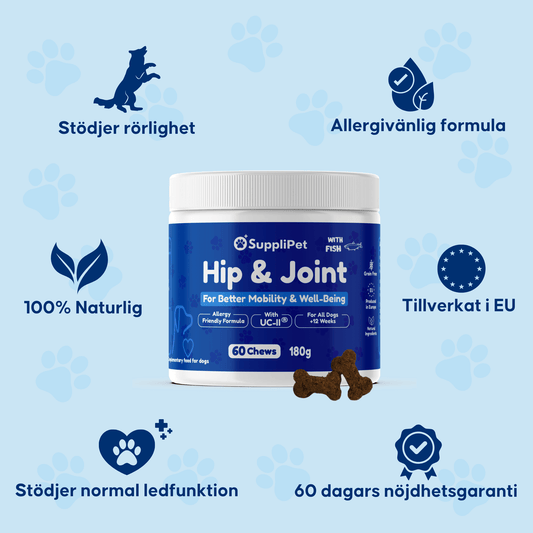 Hip & Joint – För ökad rörlighet