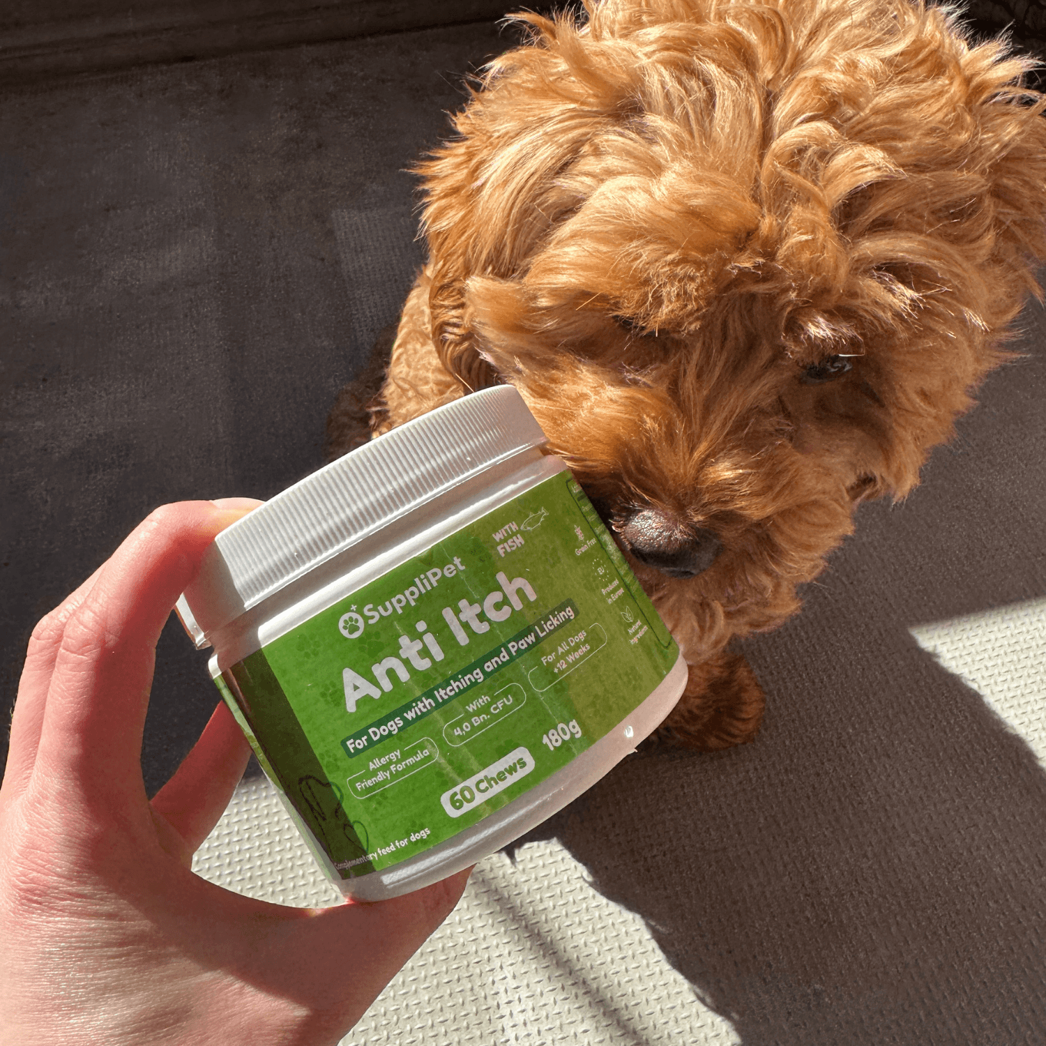 Anti Itch - För hundar med klåda och tasslickande