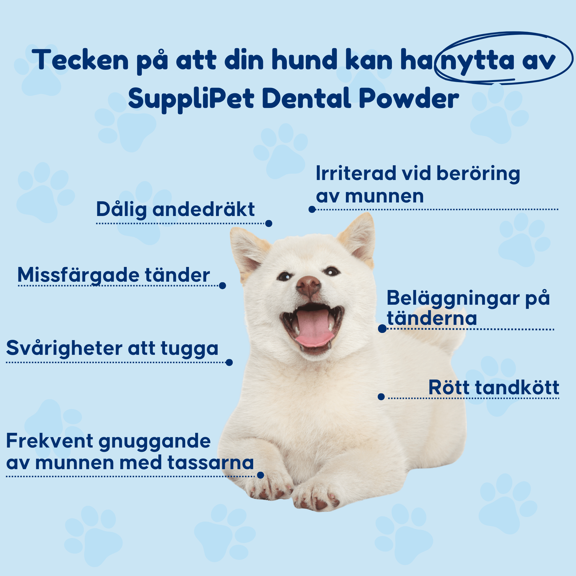 Dental Powder – För rena tänder och friskt tandkött