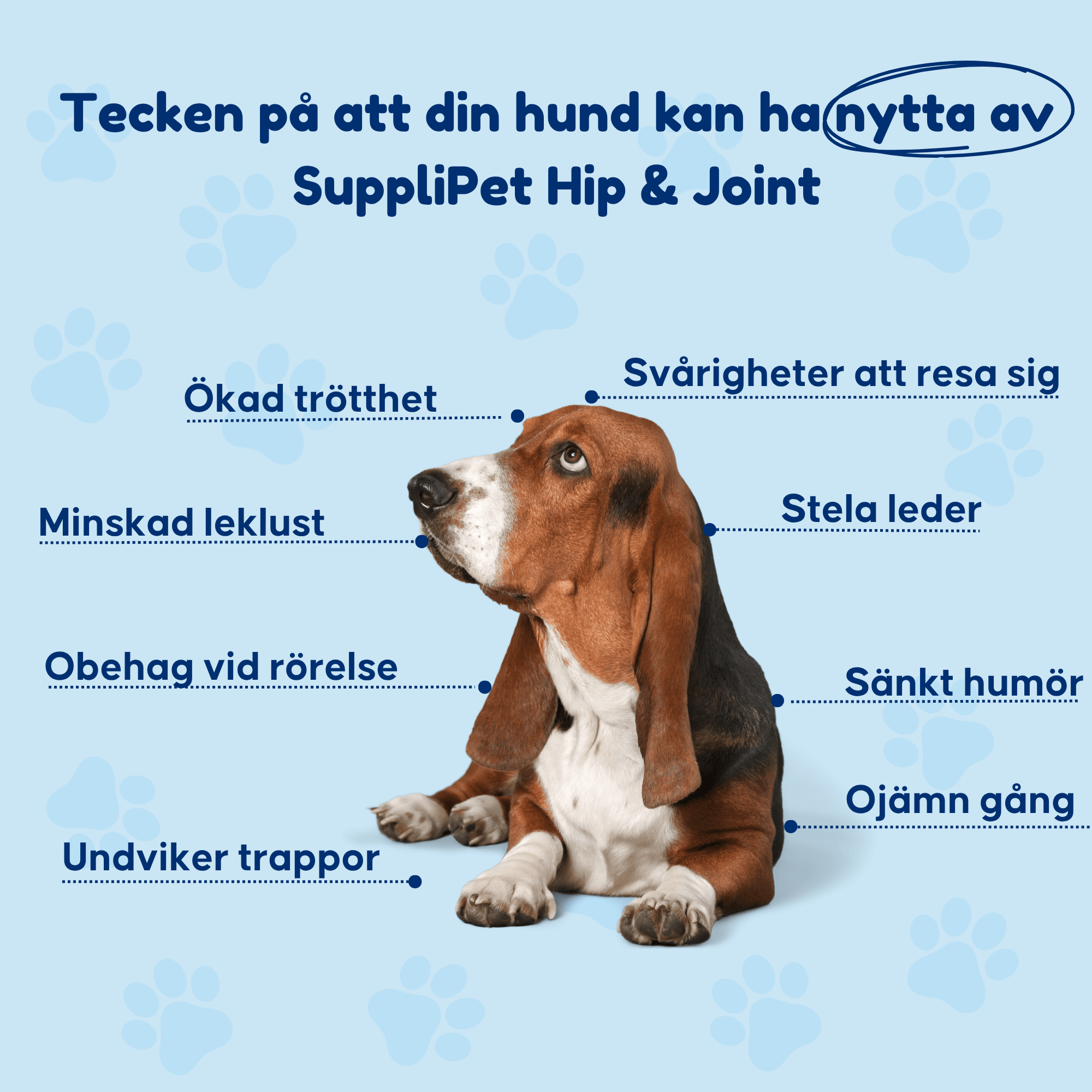 Hip & Joint – För ökad rörlighet