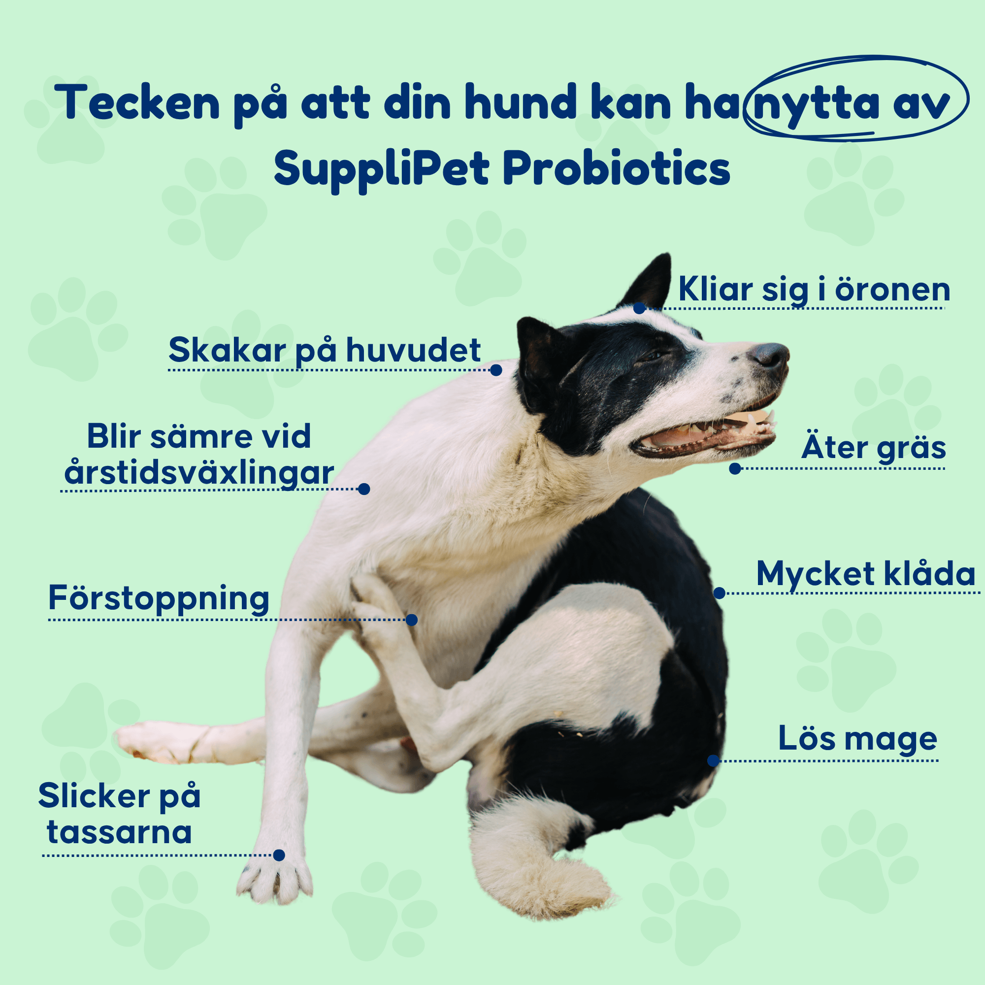 Probiotics – För en sund tarmflora