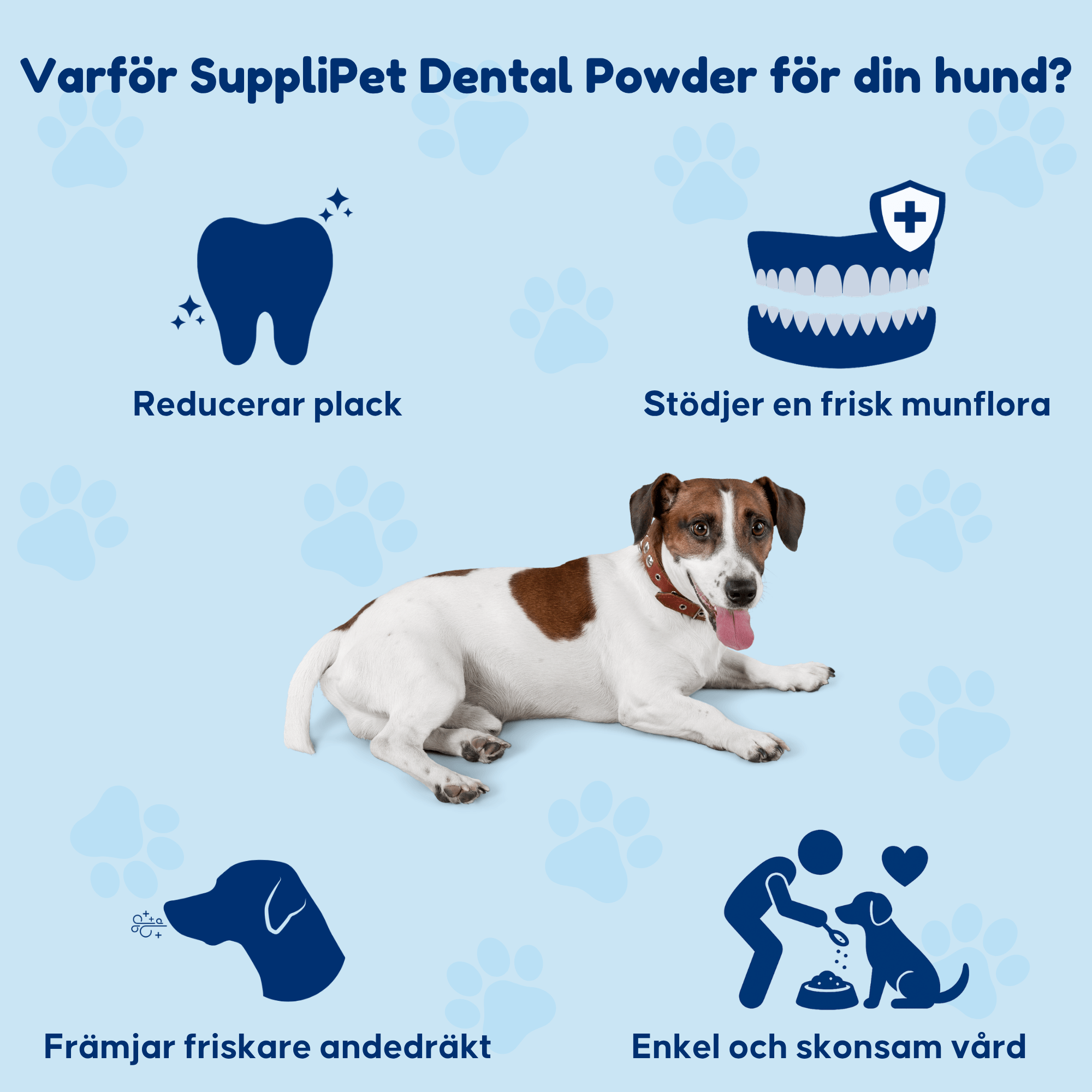 Dental Powder – För rena tänder och friskt tandkött