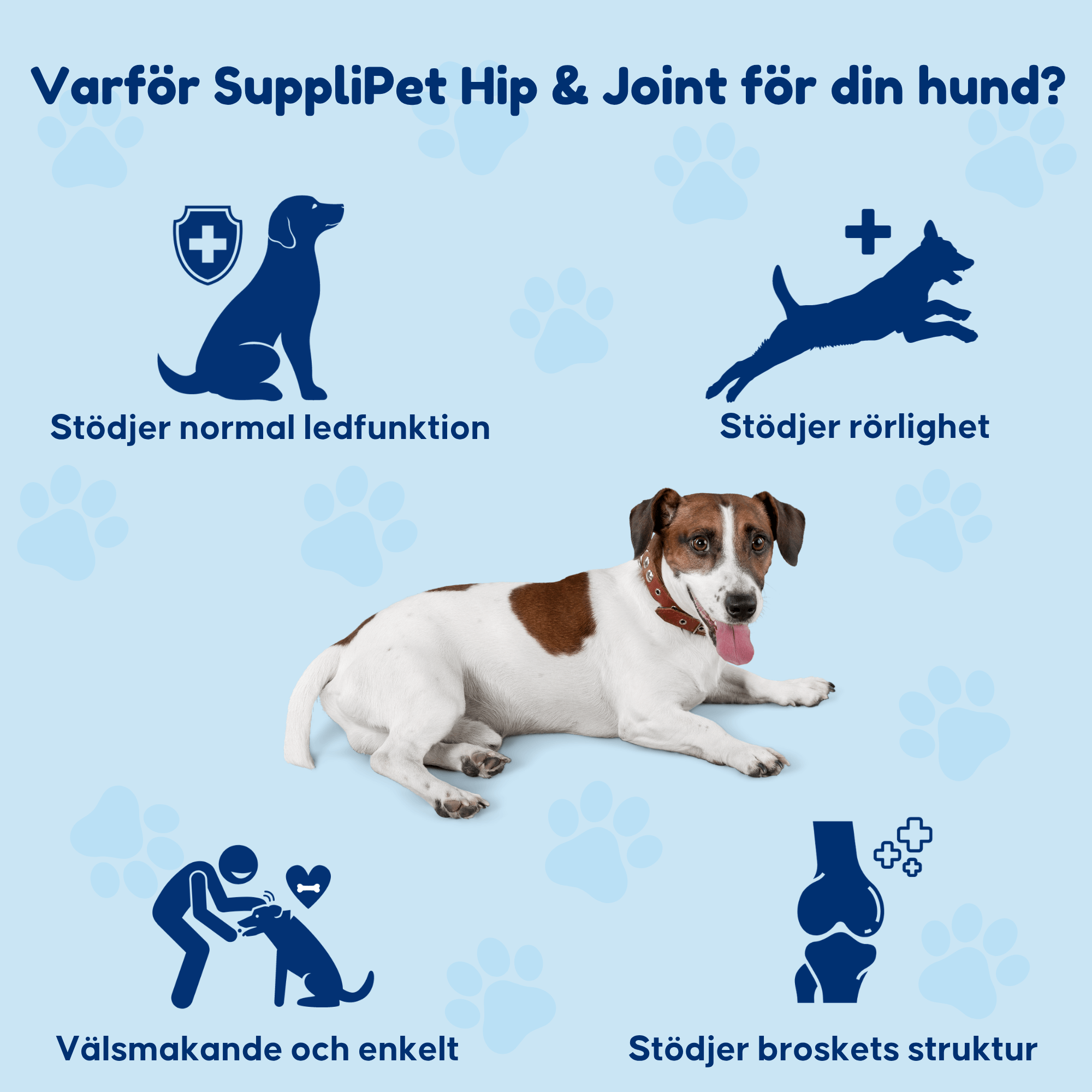 Hip & Joint – För ökad rörlighet