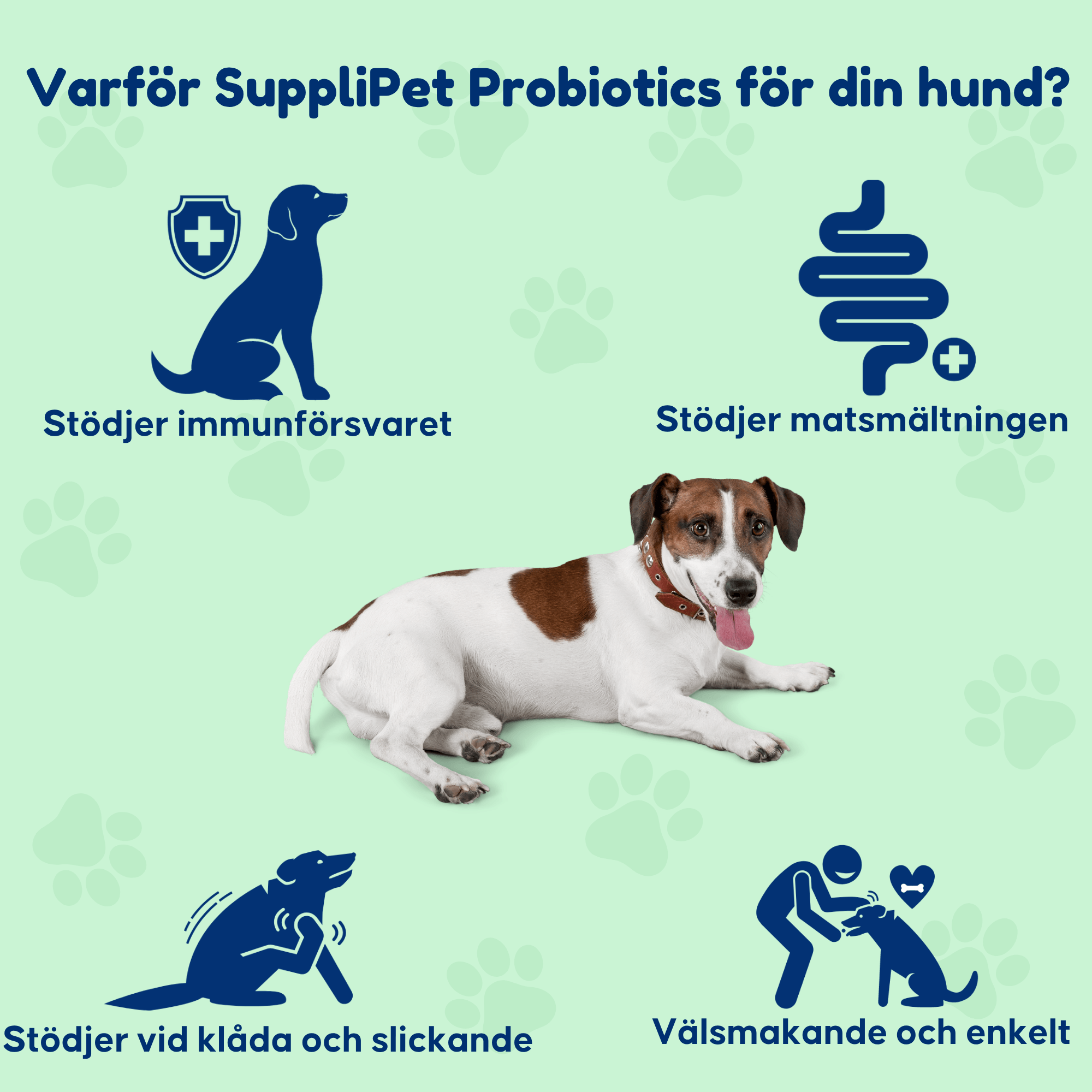 Probiotics – För en sund tarmflora