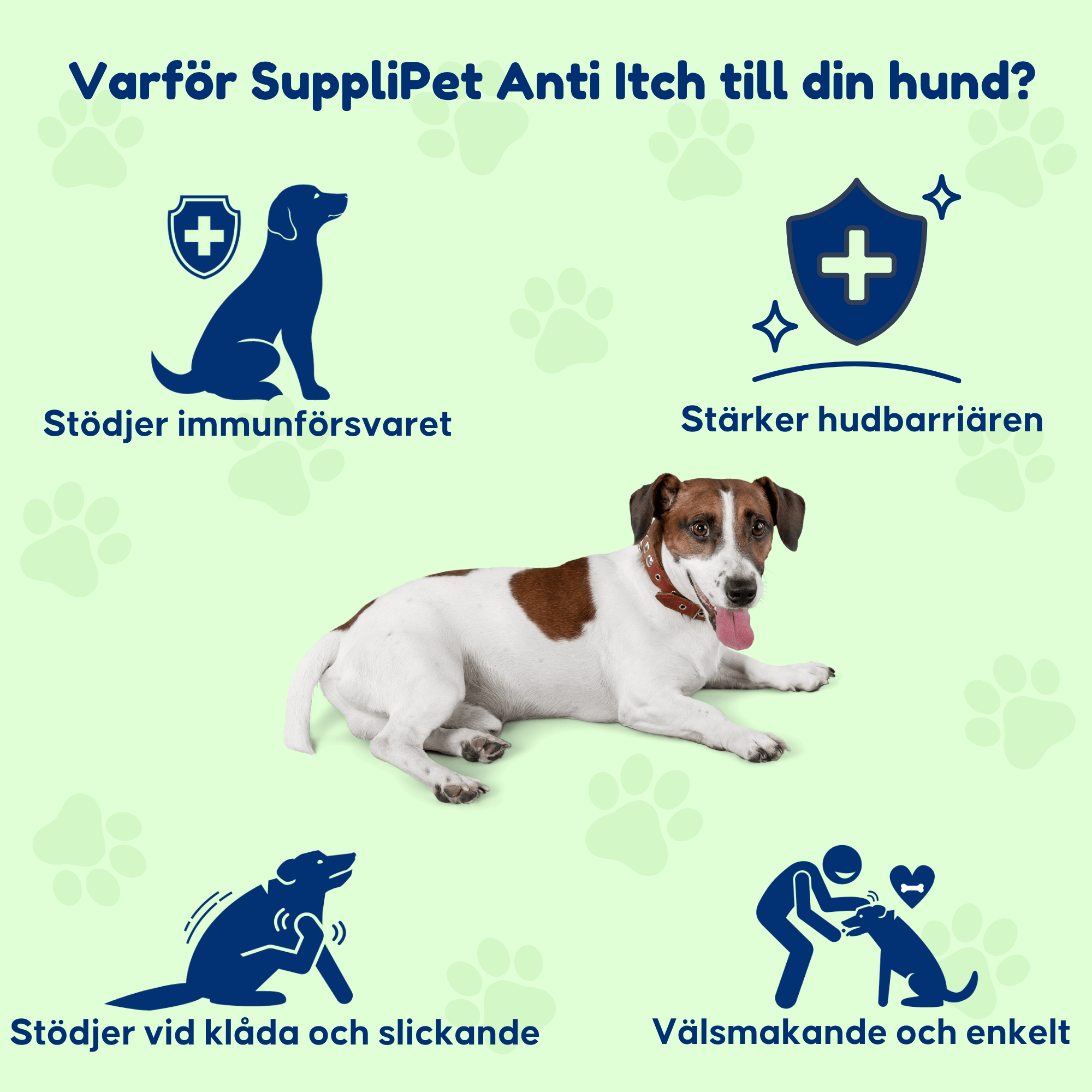 Anti Itch - För hundar med klåda och tasslickande
