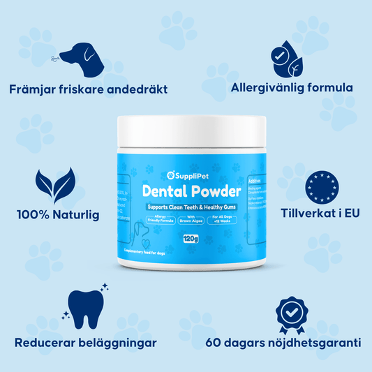 Dental Powder – För rena tänder och friskt tandkött