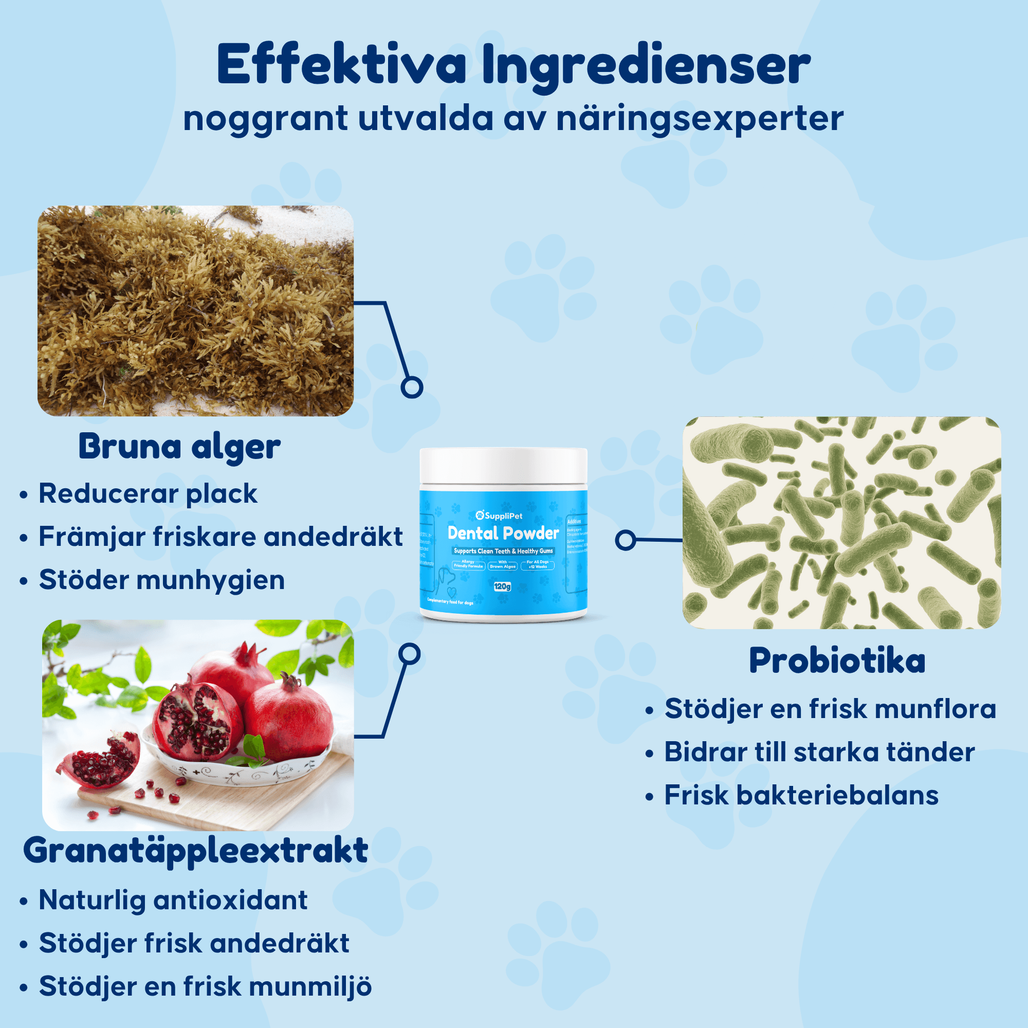 Dental Powder – För rena tänder och friskt tandkött