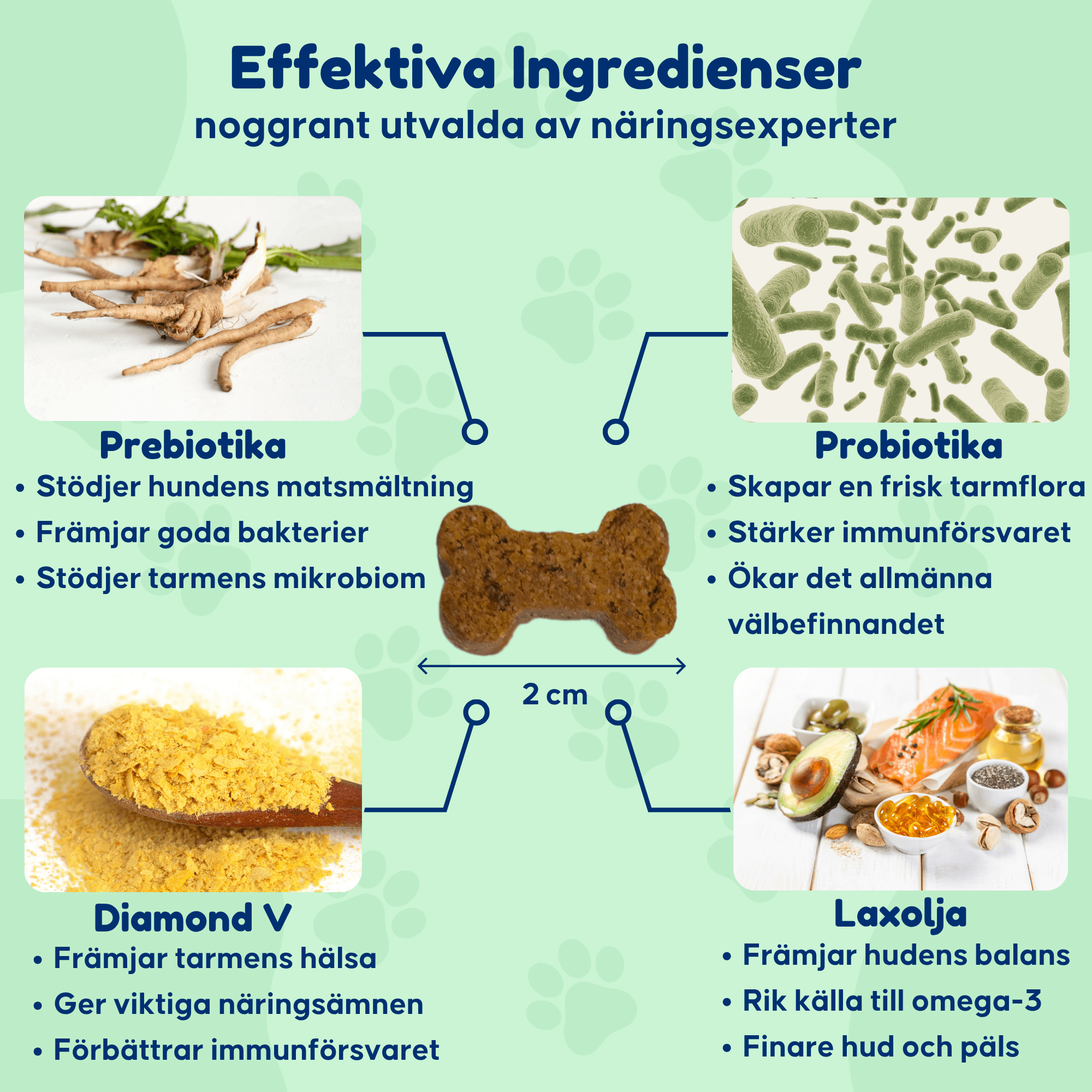 Probiotics – För en sund tarmflora