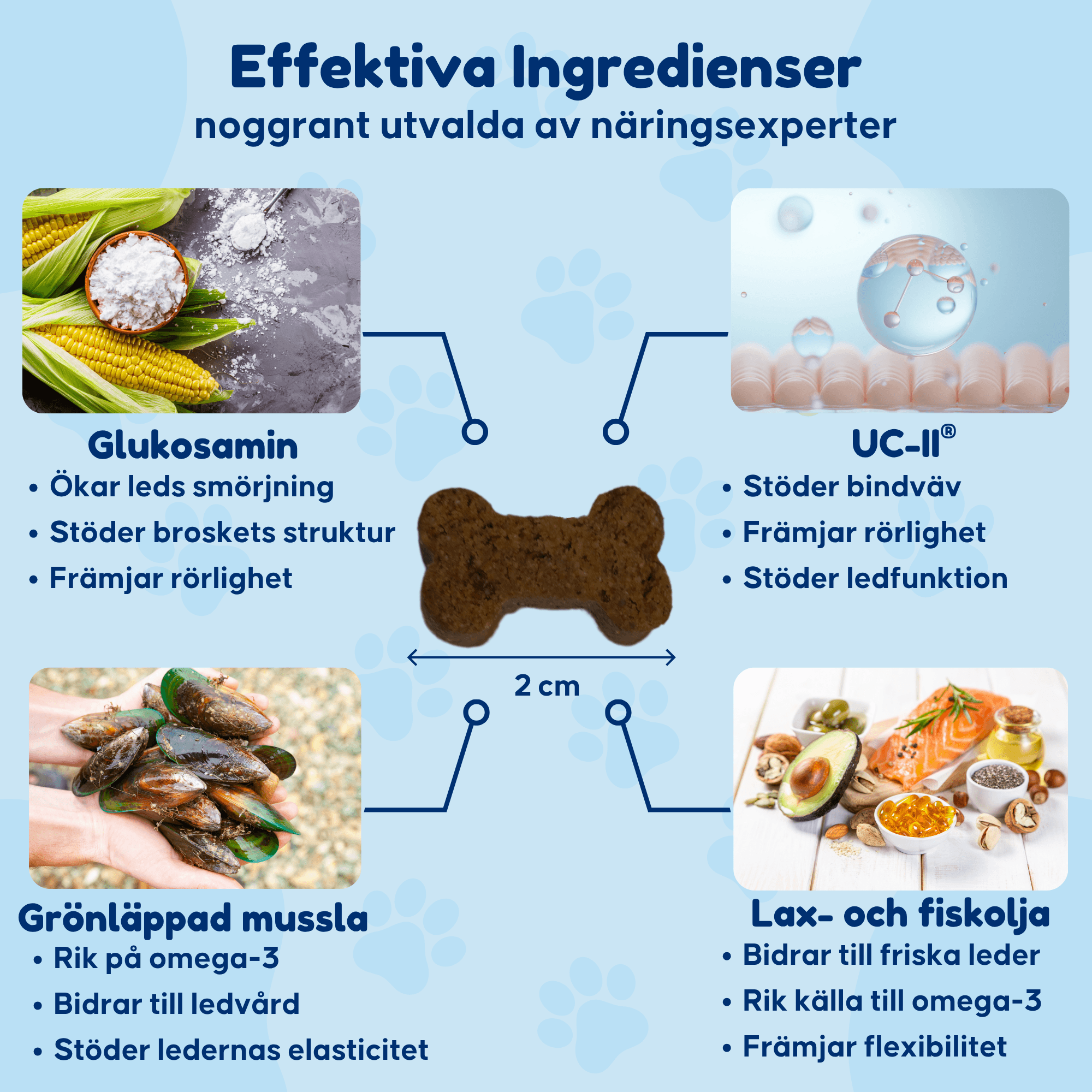 Hip & Joint – För ökad rörlighet