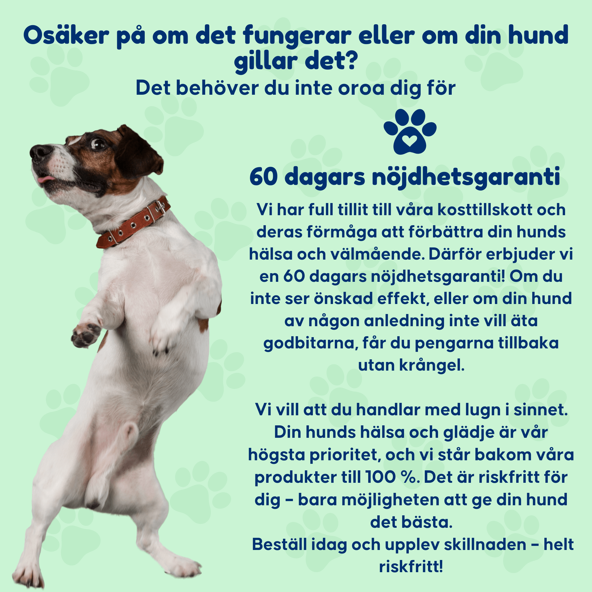 Probiotics – För en sund tarmflora