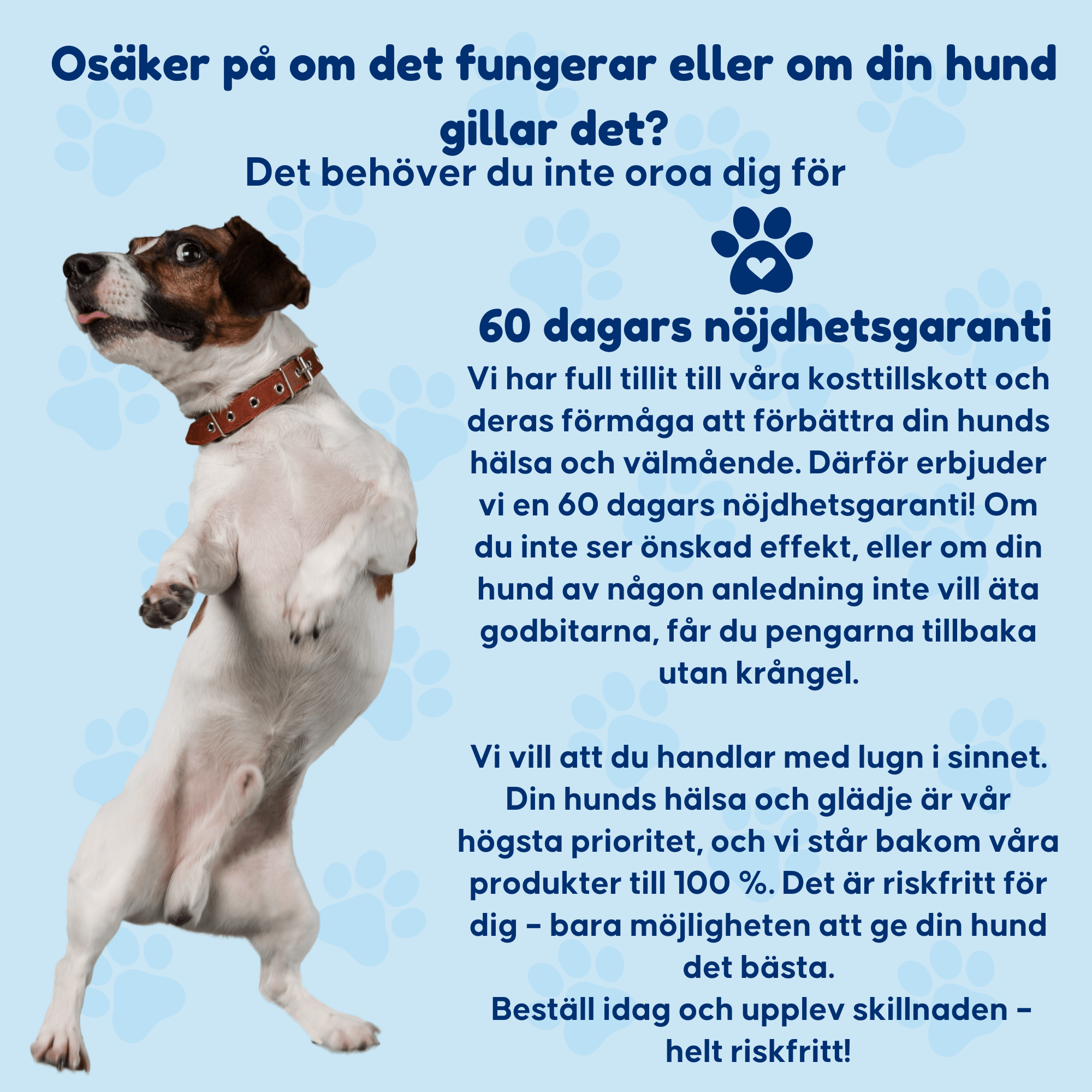 Dental Powder – För rena tänder och friskt tandkött
