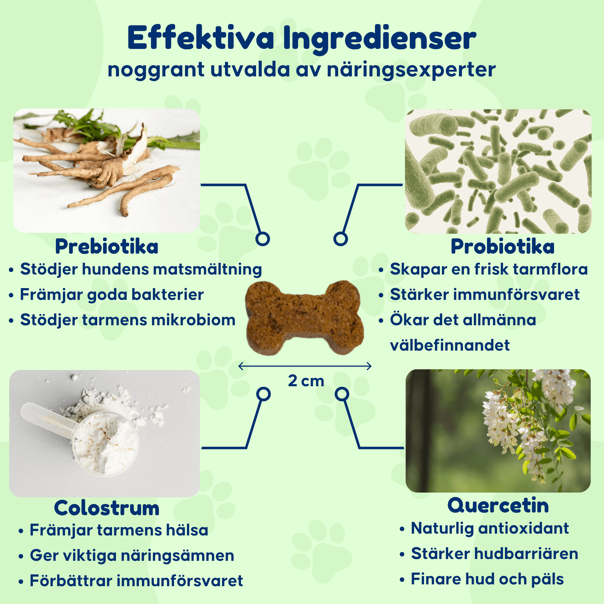 Anti Itch - För hundar med klåda och tasslickande