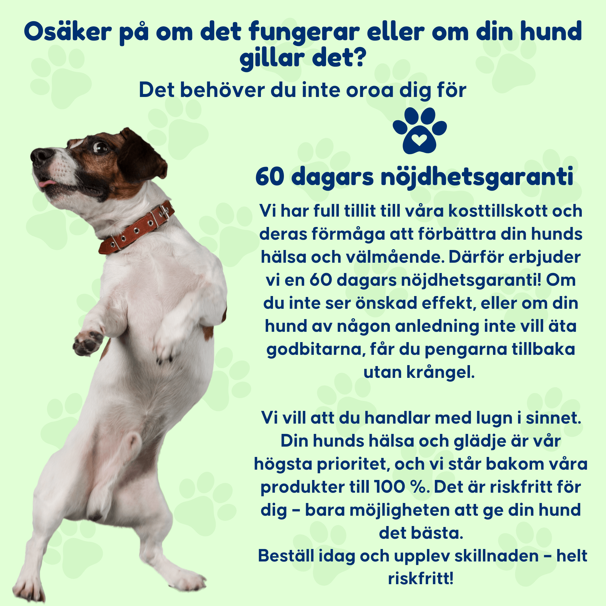 Anti Itch - För hundar med klåda och tasslickande