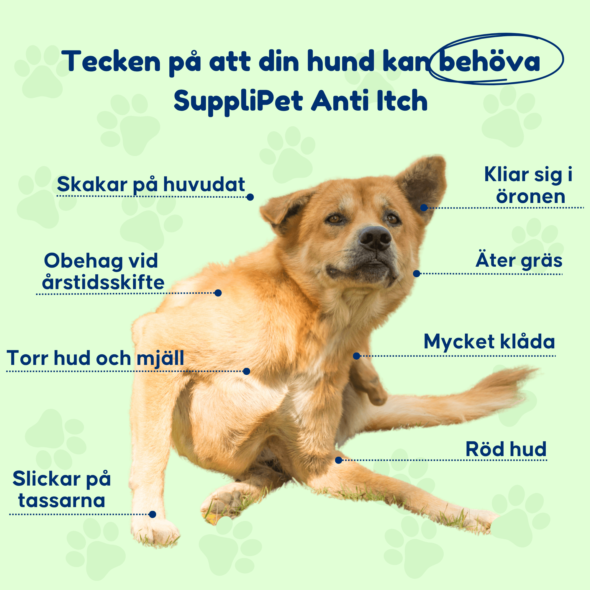 Anti Itch - För hundar med klåda och tasslickande